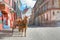 Lublin City streetview