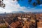 Lucca view from Guinigi Tower.