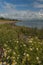 Luce Bay, Dumfries & Galloway