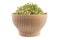 Lucerne alfalfa in wooden bowl isolated on white background. nutrition. food ingredient