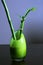 Lucky Bamboo in Green Glass Vase