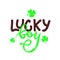 Lucky boy quote with green clover leaf. St. Patrick s day concept. Vector phrase for t shirt print, poster, greeting card. Hand