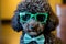 Lucky Canine Fashion. Green Glasses-Wearing Dog Delights in St. Patricks Day Festivities