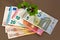 Lucky clover on Euro banknote money. Four-leaf sorrel with 4 hairy leaflets