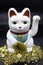 Lucky or fortune cat, Maneki-neko, has an attitude of calling and not greeting