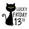 Lucky Friday 13th -  funny abominable black cat.