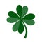 Lucky Green Four Leaf Clover for St. Patricks Day. Vector illustration isolated on white background