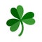 Lucky green shamrock three leaf clover for St. Patricks Day. Vector illustration isolated on white background