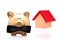 The lucky home owner a golden pig