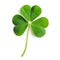 Lucky Irish four-leaf clover charm isolated on white background for fortune concepts, Ai Generated