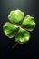 Lucky Irish four leaf clover, festive symbol of St. Patricks Day