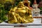 Lucky seated golden Buddha in Wat Wanararm or What Kho Wanararm Temple in Langkawi island, State of Kedah, Malaysia