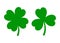 Lucky Shamrock. Four Leaf Clover Vector Clipart. Saint Patrick`s Day
