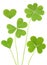 Lucky Three & Four Leaf Clovers