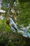 Lucky village, Lucansky waterfall, Slovakia: Waterfall is 12 meters high, cascading and falls from the edge of the travertine