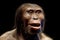 Lucy neanderthal cro-magnon female isolated on black