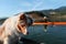 Lucy sits on the bow of the launch as Brian rows his boat on this beautiful morning in southern Oregon, Oregon, Emigrant Lake, Ne