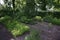 Luebeck, Germany, June 24, 2020: Organic herb beds under trees in a public school garden, copy space, selected focus