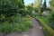 Luebeck, Germany, June 24, 2020: Organic herb beds under trees in a public school garden, selected focus