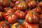 Lufa Farms Beefsteak Tomato