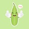 luffa flat design vector illustration. Loofah or sponge gourd, vegan plant.