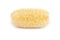 Luffa sponge.