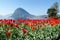 Lugano, Switzerland - View of the gulf from the botanical garden