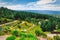 Luge track and panoramic view of Rotorua town