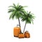 Luggage and palms