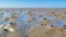 Lugworm casts on mudflats of Waddensea at low tide, Netherlands