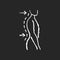 Lumbar lordosis chalk white icon on black background