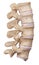 The lumbar spine