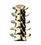 Lumbar Spine - Posterior view