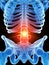 The lumbar spine showing pain