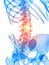 The lumbar spine showing pain