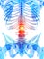 The lumbar spine showing pain