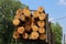 Lumber on a Logging Trailer