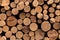 Lumber wood. Sawn cut trees, logs closeup background texture. Timber harvesting, forest destruction
