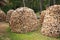 Lumbered chopped firewood for the winter and piled in large packs. Melnsils, Kempings, Latvia 06 June 2019