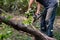 lumberjack with a chainsaw cutting wood trees in action s