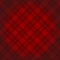 Lumberjack checkered diagonal square plaid