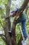 Lumberjack cutting dead acacia tree branch with circular saw