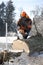Lumberjack cutting tree