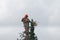 Lumberjack cutting a tree