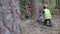 Lumberjack logger worker in protective gear cutting firewood timber tree in forest with chainsaw