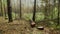 Lumberjack logger worker in protective gear cutting firewood timber tree in forest with chainsaw