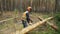 Lumberjack logger worker in protective gear cutting firewood timber tree in forest with chainsaw