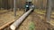 Lumberjack with modern harvester working in a forest. Wood as a source renewable energy