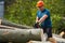 Lumberjack sawing beech logs