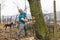 Lumberjack worker chopping down a tree breaking off many splinters in the forest with big axe.